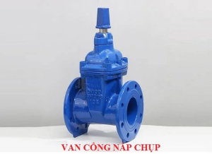 Van cổng nắp chụp