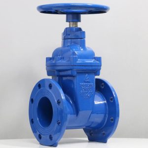 Van cổng ty chìm cánh cao su, màu xanh PN16